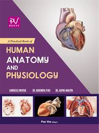 You can download it by using direct link. Practical Human Anatomy And Physiology Sem I Ii Medical Nursing Books Online S Vikas Gnm Pv Books