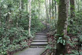 Secara dasarnya pejabat pendidikan daerah kuala selangor telah ditubuhkan pada 1 jun 1982, tetapi secara fizikalnya ia mula wujud pada 1 julai 1982. Sungai Tekala Recreational Forest