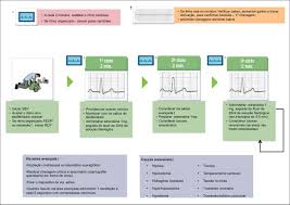 A parada cardiorrespiratória é o momento em que o coração deixa de funcionar e a pessoa deixa de respirar, sendo necessário fazer uma massagem cardíaca para fazer com que o coração volte a bater. Scielo Brasil Atualizacao Da Diretriz De Ressuscitacao Cardiopulmonar E Cuidados Cardiovasculares De Emergencia Da Sociedade Brasileira De Cardiologia 2019 Atualizacao Da Diretriz De Ressuscitacao Cardiopulmonar E Cuidados Cardiovasculares De