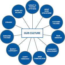 how to diagnosing organizational culture chart google