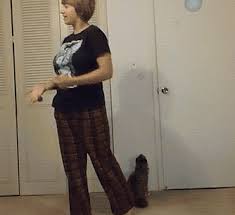 You may also notice a green ground wire. Irti Funny Gif 8344 Tags Cat Trolling Turning Off Light Switch Jumps Up Lights