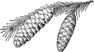 Image result for Brexia