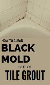 How To Clean Black Mold Out Of Tile Grout 101cleaningtips Net Clean Black Mold Shower Grout Shower Cleaner