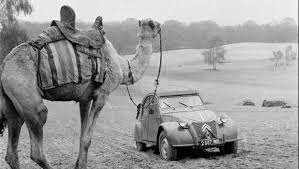 Their body temperatures range from 93 f during. The Citroen 2cv Sahara 4x4 Was Just Crazy Enough To Work