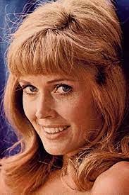 Denise Canham's Instagram, Twitter & Facebook