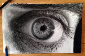 Check spelling or type a new query. Draw My Picture