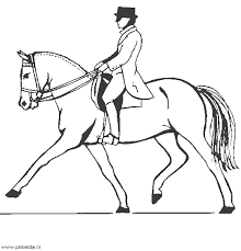 Paarden En Veulens Plaatjes Knutsels Kleurplaten