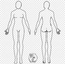 The human body is one complex network, universally accepted as the most intriguing construct. Female Body Shape Human Body Diagram Drawing Woman Family Linear Fashion Figures Template White Png Pngegg