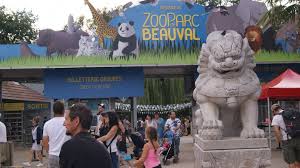Profitez de 32 % de réduction en moyenne, en réservant à l'avance†. Le Zooparc De Beauval A Deja Perdu Plus De 15 Millions D Euros A Cause Du Confinement