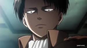 While it is said that he is blunt and unapproachable, it is noted that he. Levi Ackermann Anime Attack On Titan Wiki Fandom