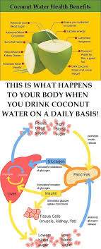 This Is What Happens To Your Body When You Drink Coconut Water On A Daily Basis Coconut Health Benefits Water Health Health