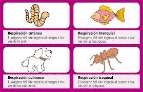 Check spelling or type a new query. Pin En Ciencias Naturales 5