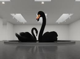 My swans songs tier list (forgot to include the burning world) (self.swans). Black Swans Axis Mundi Media Photos And Videos 4 Archello