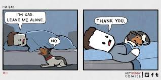 ✓ free for commercial use ✓ high quality images. I Can Has Cheezburger Dog Comics Funny Animals Online Cheezburger