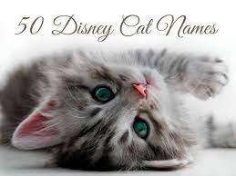 You can pick the best one for your kitty. 50 Disney Cat Names Pethelpful