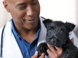 VETCO TOTAL CARE ANIMAL HOSPITAL