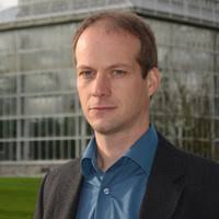 Image result for Pauridiantha dewevrei