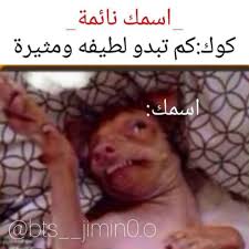 فقره التنمر على اسمك Funny Profile Pictures Funny Picture Jokes Funny Photo Memes