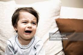 70 Daniel Caprice Stock Photos, High-Res Pictures, and Images