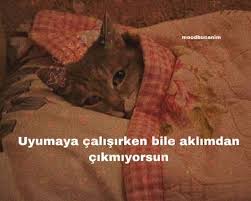 Irem Yaren Adli Kullanicinin Ilham Veren Alintilar Panosundaki Pin 2020 Okuma Alintilari Resimli Alintilar Alayci Sozler