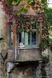Fiandre In Autunno In Camper Cottage Windows Windows Through The Window