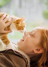 Vi jobbar ofta själva, men vi är inte ensamma.