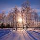 Winter Solstice Celebration Soundbath — Yoga Shala event image