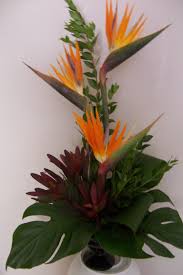 Bird Of Paradise Arrangement Birds Of Paradise Arrangement Arranjos Florais Contemporaneos Arranjos De Flores Tropicais Arranjos De Flores Naturais