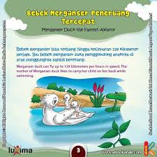 Apakah Nama Bebek Penerbang Tercepat Di Dunia Membaca Buku Buku Anak Dunia