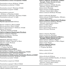 Image result for Sabicea venosa