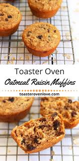 Toaster Oven Oatmeal Raisin Muffins Recipe Oatmeal Raisin Cuisinart Recipes Raisin Muffins
