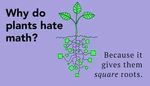 A great teacher inspires respect and admiration. 55 Hilarious Math Jokes To Cause Smiles Thought Catalog