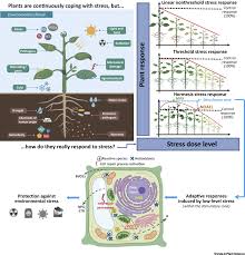 Publishing only the best work, plant, cell & environment publishes original research, either theoretical or experimental, that provides novel insights into the ways that plants respond to their environment. Hormesis A Compelling Platform For Sophisticated Plant Science Trends In Plant Science
