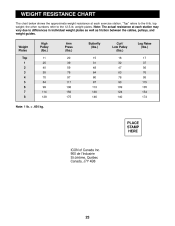 69 Bright Weider Pro Exercise Chart