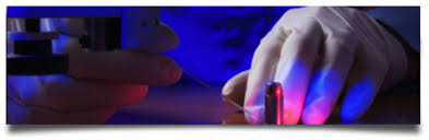 Victims don't always get gunshot residue on them; Gunshot Wounds Gunshot Wounds Photographs