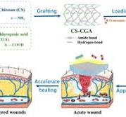 Bioactive electrospun polylactic acid/chlorogenic acid ...