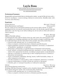 20+ best family business resumes