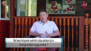 Ilk Kez Kopek Sahibi Olacaklar Icin Hangi Irklar Uygundur Youtube