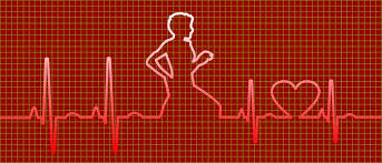 Image result for image of a heartbeat