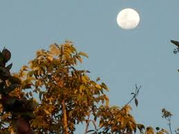 A lua cheia de beleza e luz É fase bela e misteriosa Por q… | Flickr