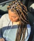 23 Best Triangle part box braids images | Triangle part ...