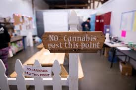 Image result for Weed room sign