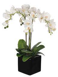 Pin On Flower Planter