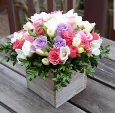 Pin On Flowers