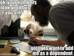 Hello Tax Season Big Cats Photography Funny Cats And Dogs Cat Playing