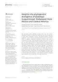 Image result for Dalbergia bracteolata