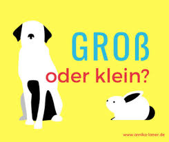 Zu hause ist es doch am schönsten. Gross Oder Klein Substantivierungen Pronomen Co Annika Lamer