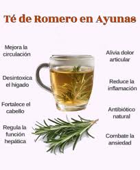 🌿☕ Té de Romero en Ayunas: Tradición Natural para el Bienestar El romero  es una de las plantas aromáticas más valoradas en la medicina natural.  Desde hace siglos se ha utilizado por