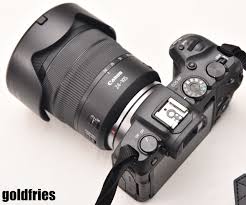 Canon eos r and ef 50mm f/1.0 l on ef adapter with control ring. Canon Eos Rp Review Goldfries