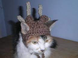 Crocheted Reindeer Hat For Cat Or Dog Brown Deer Christmas Etsy Reindeer Hat Cats Christmas Deer